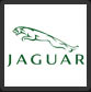 ����� ����� Jaguar